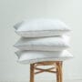 Hotel Goose Feather Pillows