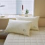 hotel pillow