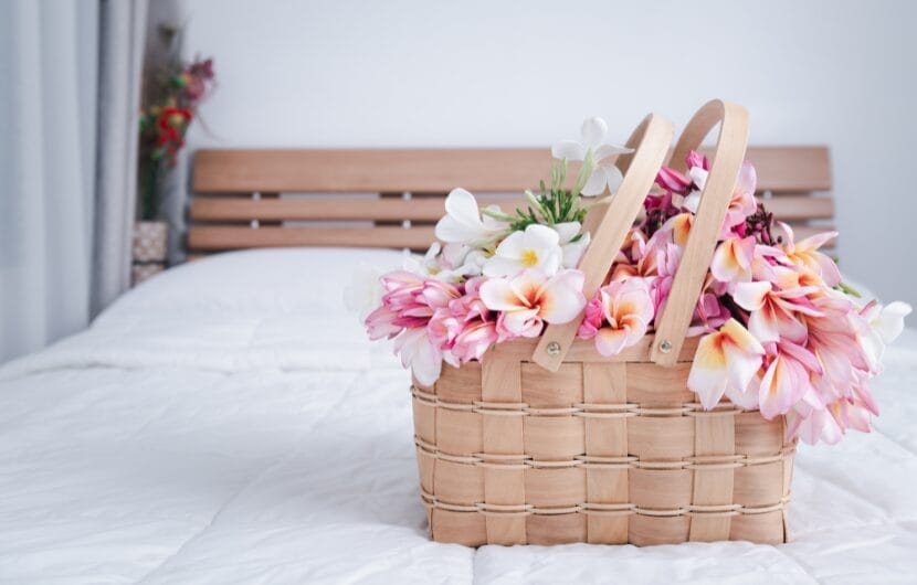 Exploring Bamboo Fabric: A Sustainable Textile Solution