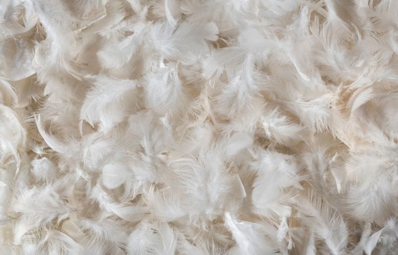 Feather Pillow Filling