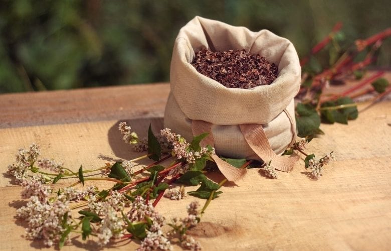Buckwheat Hulls As Pillow Filling