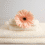 Stop hotel towel from shedding