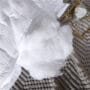 hotel pillow