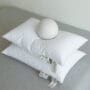 hotel pillow
